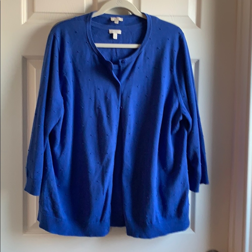 Talbots Blue Twin Set